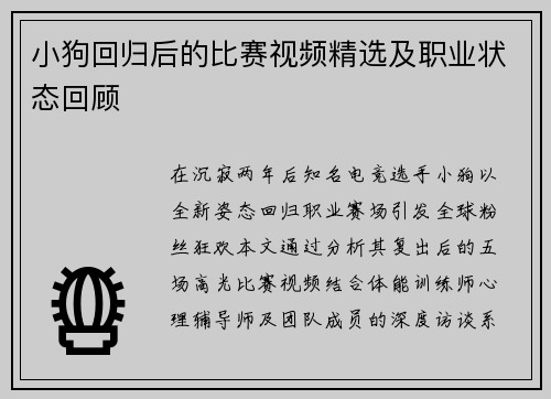 小狗回归后的比赛视频精选及职业状态回顾