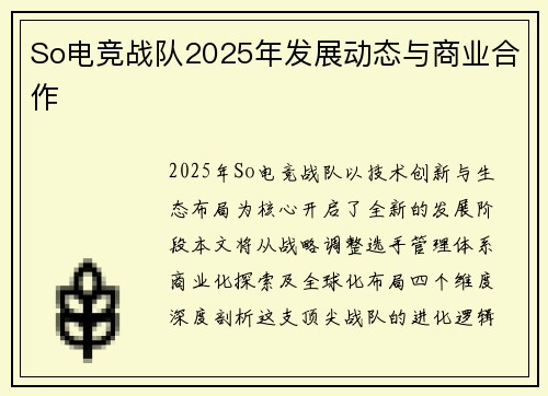 So电竞战队2025年发展动态与商业合作